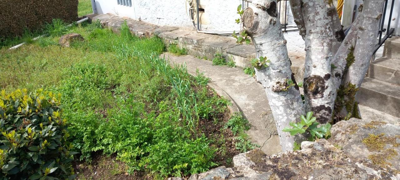 Pension Baires Otel O Coto Dış mekan fotoğraf